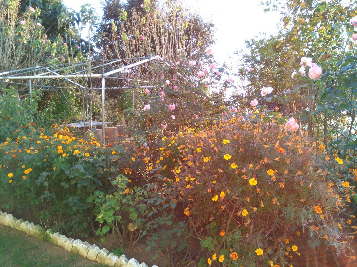 Maa Ananda Mayee Guest House Binsar Extérieur photo