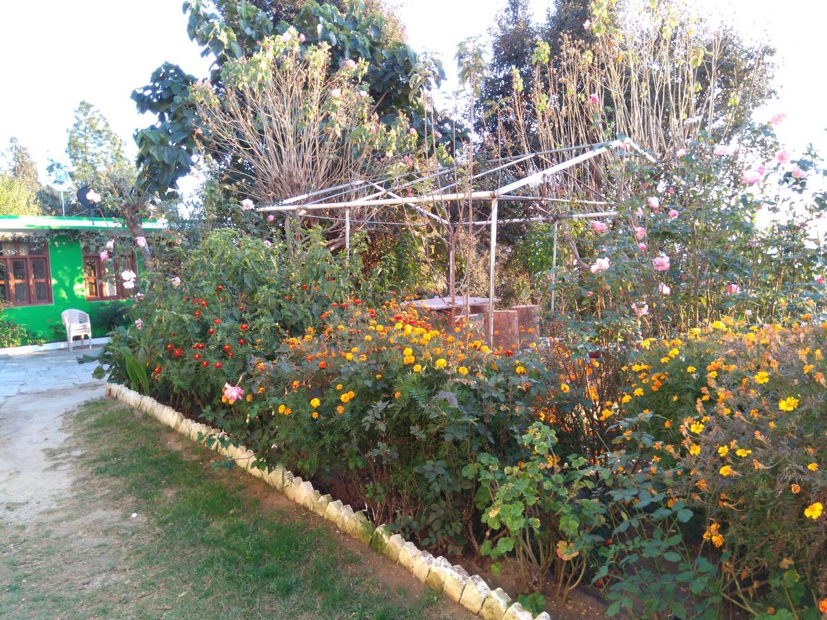 Maa Ananda Mayee Guest House Binsar Extérieur photo