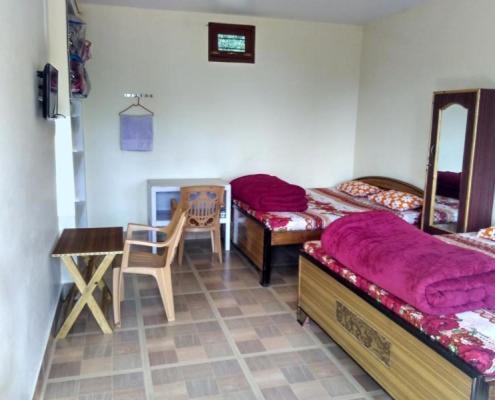 Maa Ananda Mayee Guest House Binsar Extérieur photo